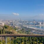 Barcelona: Private City Tour - Exploring La Rambla and the Old City