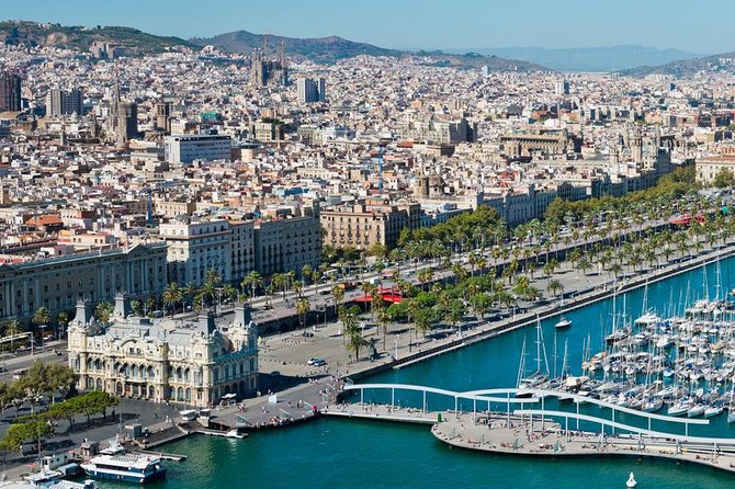 Barcelona Private Transfer: Cruise Port to Barcelona Airport - Key Points