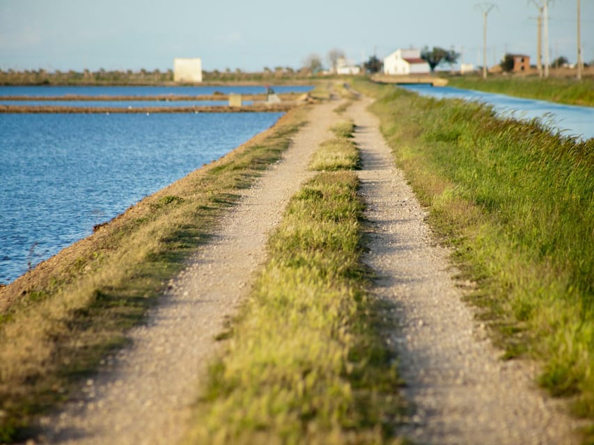 Barcelona: Tuna Baths in the Ebro Delta Route and Olive Tree Tour - Starting Point and Transportation Logistics in Salou