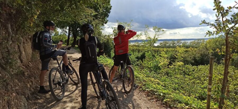 Bardolino: e-bike tour and wine tasting on the hills - Exploring the Vineyards and Olive Groves