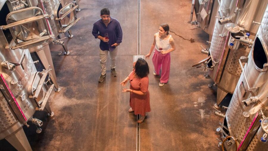 Bardolino: Vineyard Tour with Wine and Food Tasting - The Guided Wine Tasting with Local Food Pairings