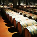 Barolo&Barbaresco wine tour with a local winemaker - Tasting Experiences and Lunch in the Hills