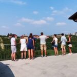 Barolo&Barbaresco wine tour with a local winemaker from Alba - Visiting Historic Vineyards Over 80 Years Old