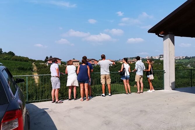 Barolo&Barbaresco wine tour with a local winemaker from Alba - Visiting Historic Vineyards Over 80 Years Old