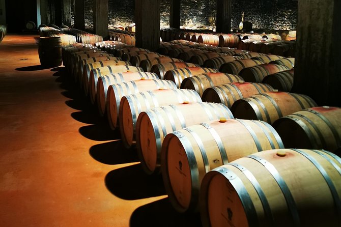 Barolo&Barbaresco wine tour with a local winemaker - Tasting Experiences and Lunch in the Hills