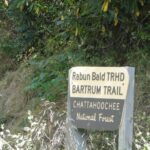 Bartram Trail Hike plus Wine Tasting - Starting Point in Clayton for the Bartram Trail Experience