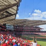 Baseball Game Day Experience in Mexico City - Diablos Rojos - Logistics: From Pickup to Post-Game Return