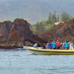 Basic Tour 1 - Cais do Sardinha to Quinta do Lorde (one way) - Starting Point at Cafetaria Sardine House and Water Dip Opportunity