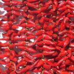 Basque Country Food Tour - Scenic Departure from Biarritz in a Classic VW Combi