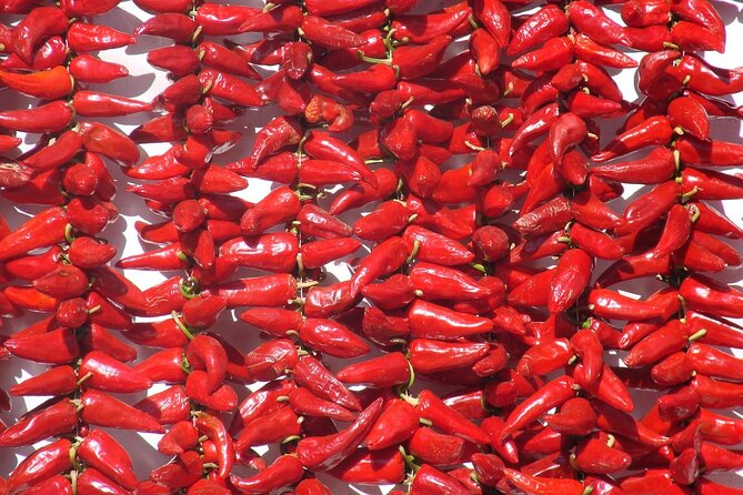 Basque Country Food Tour - Scenic Departure from Biarritz in a Classic VW Combi