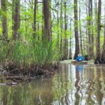Baton Rouge: Kayak Tour Through the Historic Atchafalaya - Starting Point at Dales Trading Post