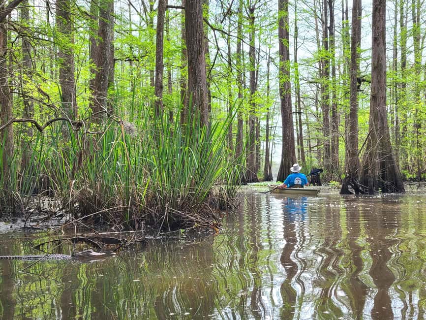 Baton Rouge: Kayak Tour Through the Historic Atchafalaya - Starting Point at Dales Trading Post
