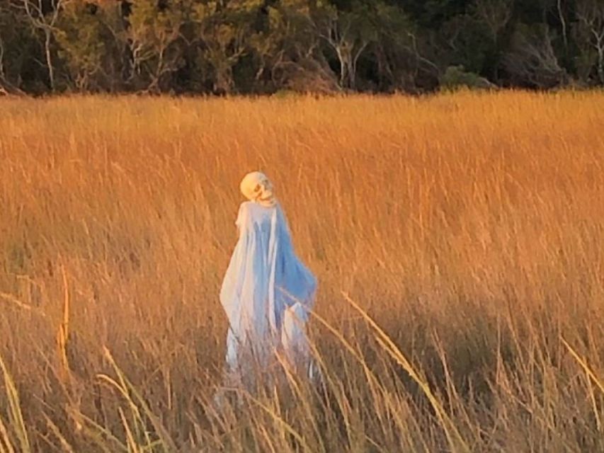 Bay Saint Louis, MS: The Haunted Bayou Cruise - What Makes the Haunted Bayou Cruise Unique