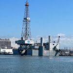 Baywatch Dolphin Tour - A 45-Minute Marine Adventure in Galveston Harbor