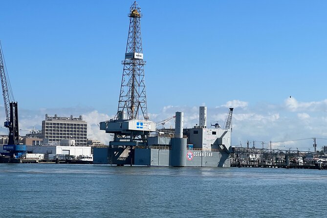 Baywatch Dolphin Tour - A 45-Minute Marine Adventure in Galveston Harbor
