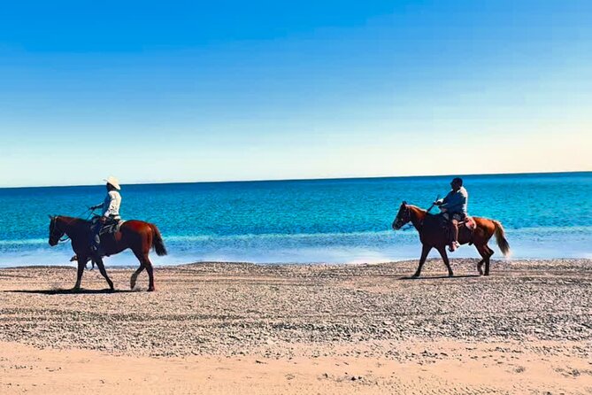 Beach and Desert Scenic Horseback Ride in Baja California Sur - The Scenic Trail from Desert to Beach