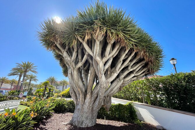 Beach and shopping Tour in San Diego (Private) - Starting at the Historic Hotel del Coronado