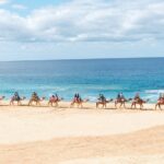 Beach Camel Ride & Encounter in Cabo - The Adventure Begins at Cactus Tours in Cabo San Lucas