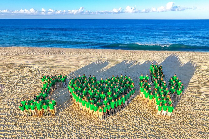 Beach Camel Ride & Sky Bike in Cabo by Cactus Tours Park - Whale Watching and Seasonality