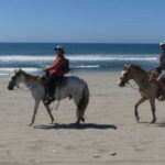 .Beach Horse Riding Turtle Release Crocodile Farm Experience - Starting Point: Pickup from Hotels and Cruise Ships in Acapulco