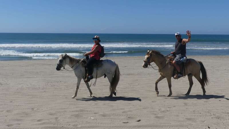.Beach Horse Riding Turtle Release Crocodile Farm Experience - Starting Point: Pickup from Hotels and Cruise Ships in Acapulco