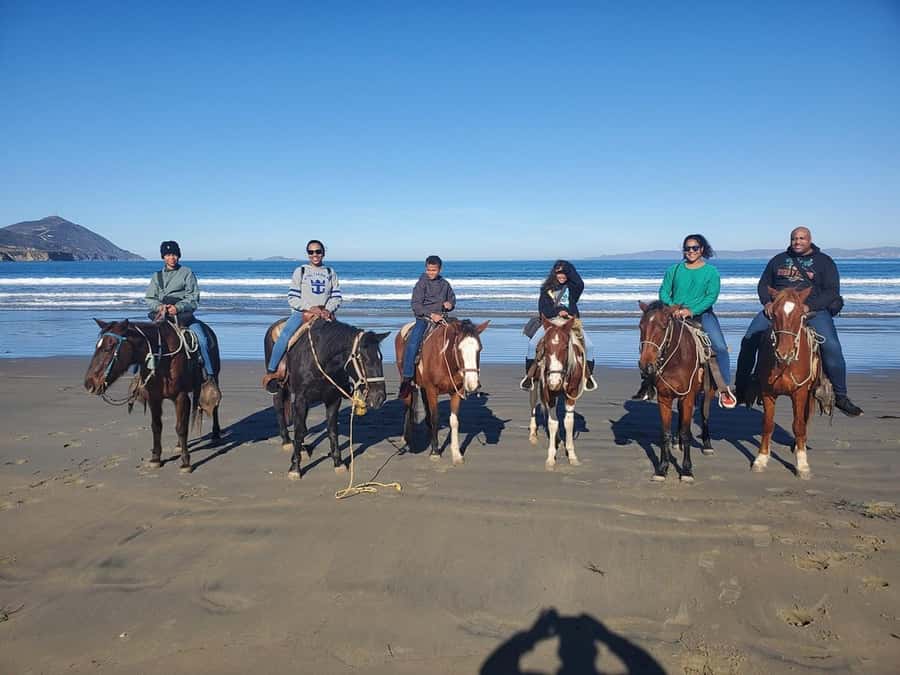 Beach Horseback Riding from the Port of Ensenada - How the Tour Meets You at the Port in Ensenada