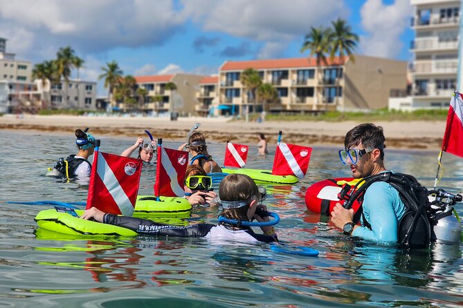 Beach Snorkeling Adventure in Lauderdale by the Sea - Exploring Lauderdale-by-the-Sea’s Underwater Ecosystem