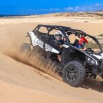 Beach UTV Adventure with Free Camel & Horseback Ride - Unique Camel Encounter on the Beach