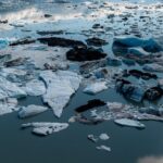 Bear Glacier Helicopter Tour with Landing - The Flight Over Kenai Fjords National Park