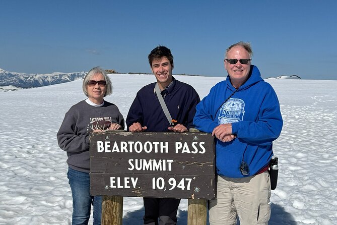 Beartooth Highway Private Tour With Wildlife Guide - Exploring the Montana Side of Beartooth Highway