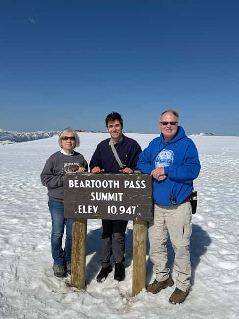 Beartooth Highway Tour With Wildlife Guide - Wildlife Spotlight: Bears, Mountain Goats, and Wolves