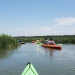 Beaufort: Guided Kayak Tour with Wildlife Viewing - Beauforts Lowcountry Ecosystems in Focus