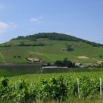 Beaujolais Half Day Wine Tasting Tour - Discover the Unique Beaujolais Terroir at Château Pizay