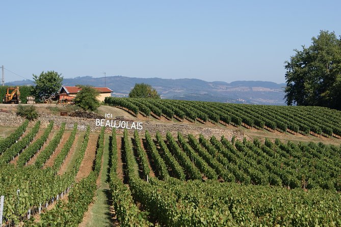 Beaujolais & Perouges Medieval Town (9:00 am to 5:15 pm - Small Group Tour Lyon - Wine Tasting at a Family-Owned Vineyard in Moire