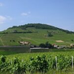 Beaujolais wine route, private tour from Lyon - Starting from Lyon: Convenient Pickup and Private Transport