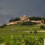 Beaujolais Wine Tour - Tastings & Gourmet Picnic Lunch - Starting Point and Easy Access from Lyon