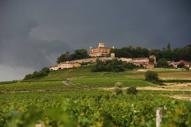 Beaujolais Wine Tour - Tastings & Gourmet Picnic Lunch - Starting Point and Easy Access from Lyon