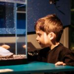 Becancour: Biodiversity Museum Visit - Discovering the Biodiversity Museum in Becancour