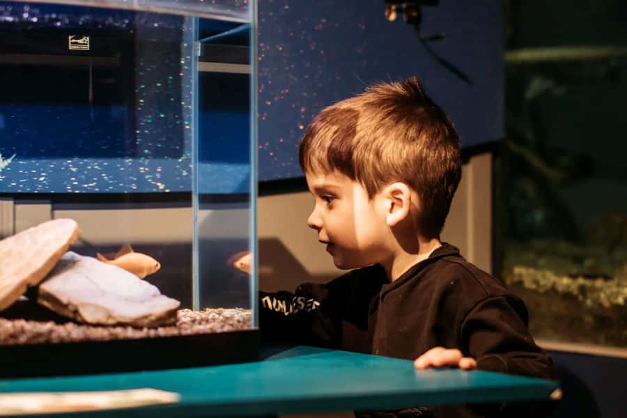 Becancour: Biodiversity Museum Visit - Discovering the Biodiversity Museum in Becancour