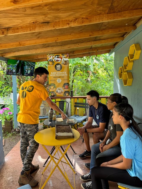 Bee Farm Tour & Honey Tasting - Meeting Point and Practical Details in North Shore