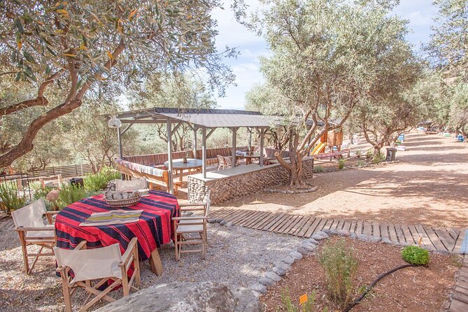 Beekeeping and Honey Stories in Itea - Learning about the Role of Bees in Human Life