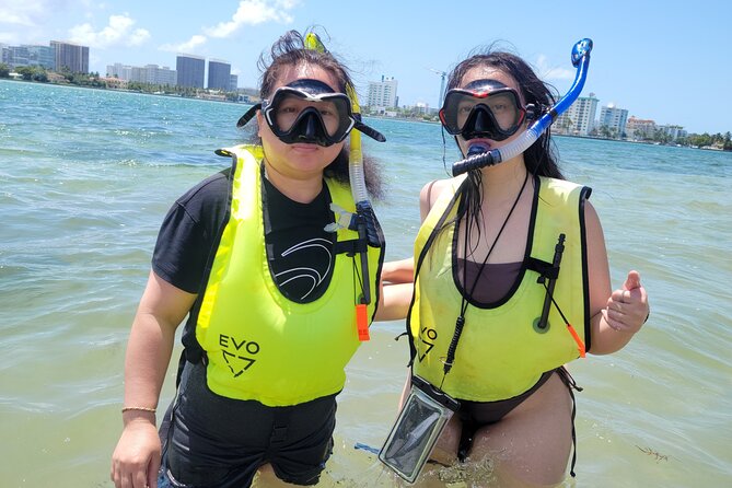 Beginner Friendly Island Snorkeling - What the Tour Includes and How It Works