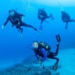 Beginner Scuba Dive with Scubapoint Tenerife in Turtle Area - What Happens During the Dive?