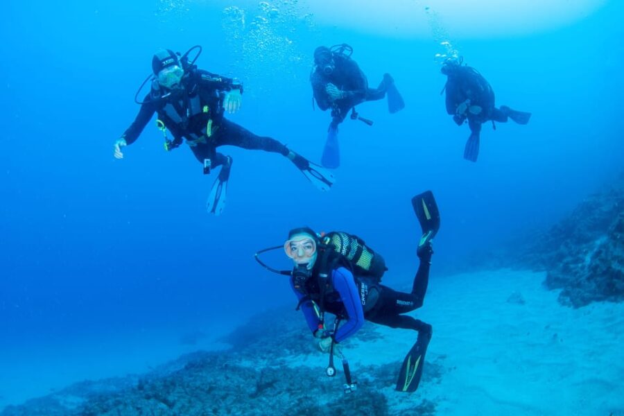Beginner Scuba Dive with Scubapoint Tenerife in Turtle Area - What Happens During the Dive?