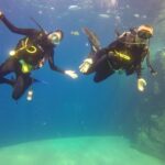 Beginner Scuba Diving in Cabo San Lucas - The Above-Sea Sightseeing Tour of Los Cabos’ Iconic Landmarks