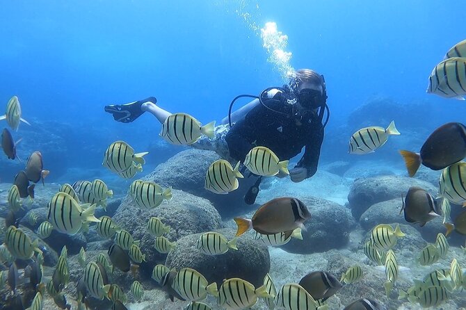 Beginner Scuba Experience with Video Package in Honolulu - The Location: Magic Island Lagoon Near Waikiki
