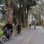 Behind-the-Scenes Food and Wine E-Bike Tour - Visiting Vella Cheese Company: Behind-the-Scenes and Tasting