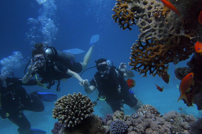 Belek Scuba Diving Experience (2 Dives) With Lunch - Departure and Meeting Point Details