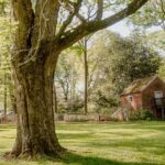 Belle Meade Guided Mansion Tour with Complimentary Wine Tasting - What’s Included in the Tour Price