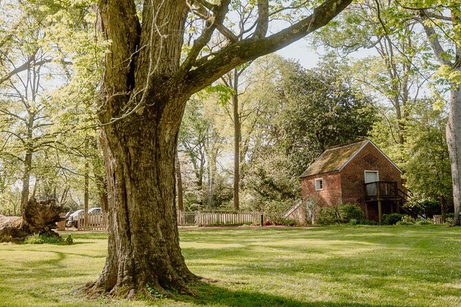 Belle Meade Guided Mansion Tour with Complimentary Wine Tasting - What’s Included in the Tour Price